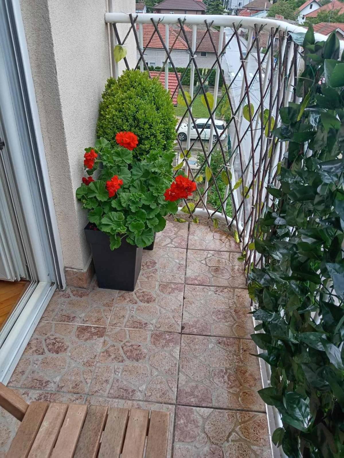 Apartman Centar Požarevac Esterno foto
